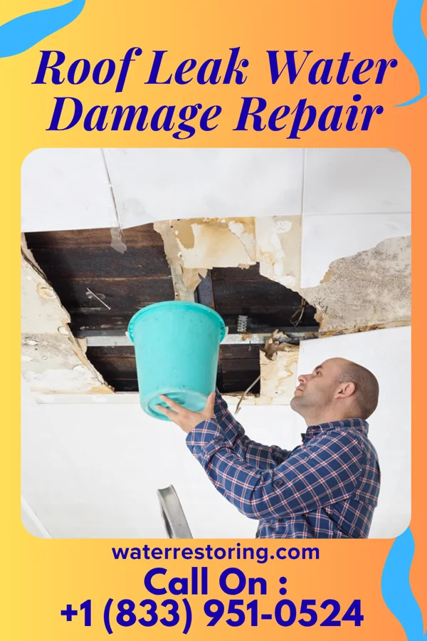 Roof Leak Water Damage Repair in Montrose, IA